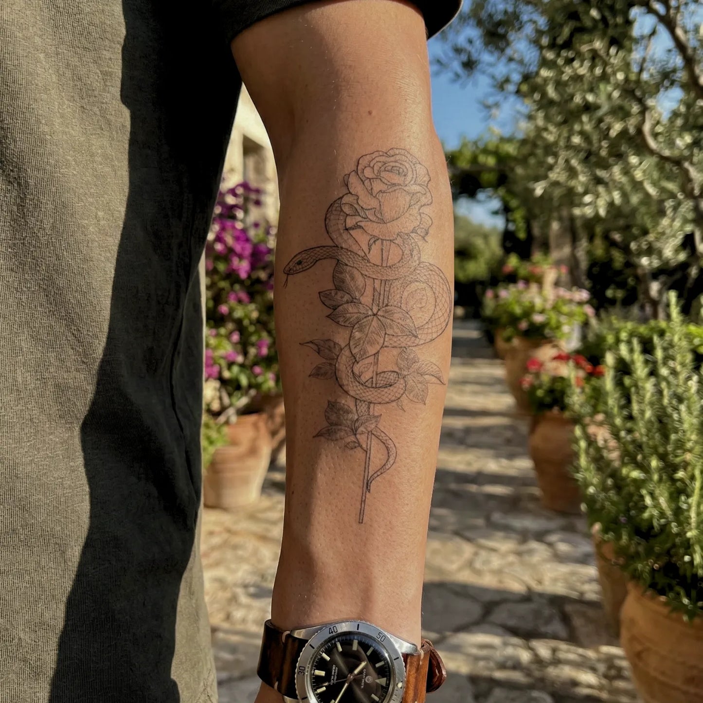 Schlange & Rose