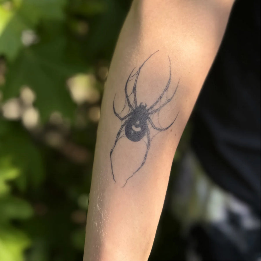 Spinnenauge