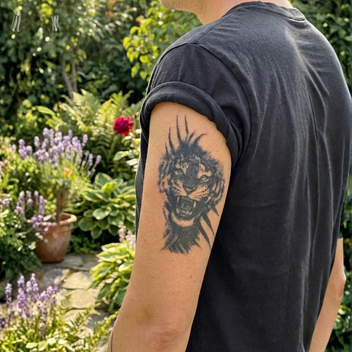 Zerrissener Tiger