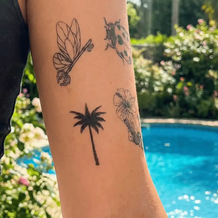 Palme